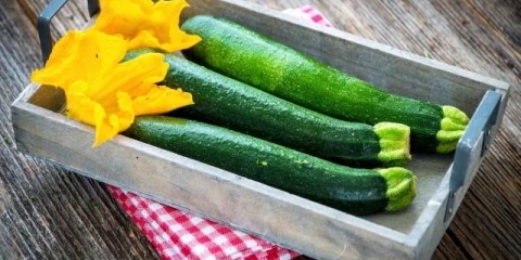 Kako čuvati tikvice kod kuće